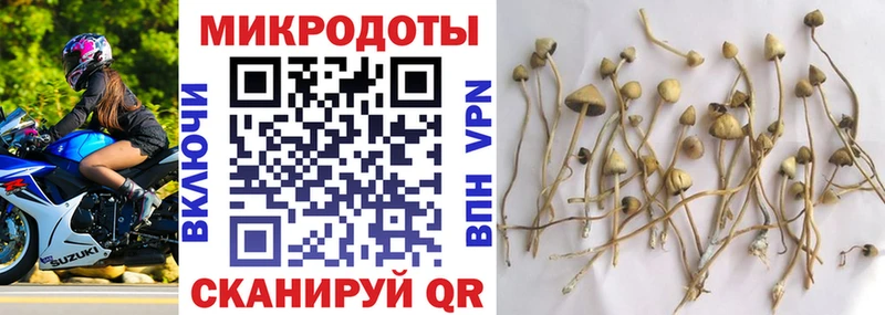 цена наркотик  Алупка  Псилоцибиновые грибы мухоморы 